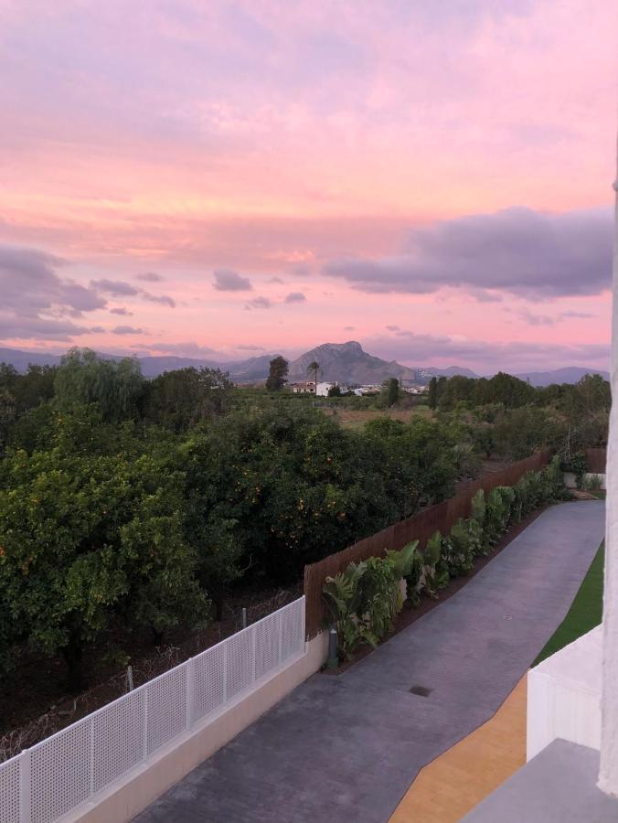 Sunny Apartment In Denia With Outdoor Swimming Pool And Garage Parking Place Included, 300M From The Sandy Beach Bagian luar foto